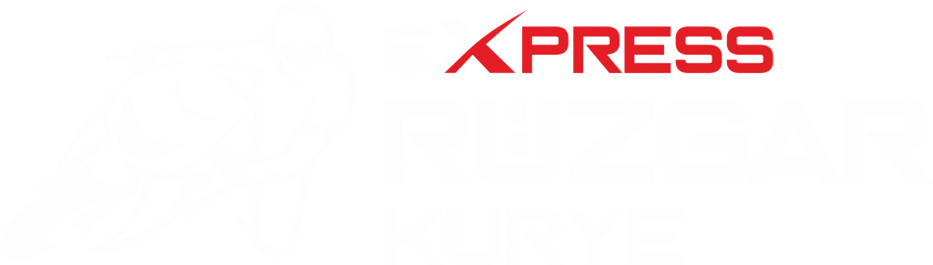 express kurye logo rüzgar istanbul motor kurye acil paket beyaz logo